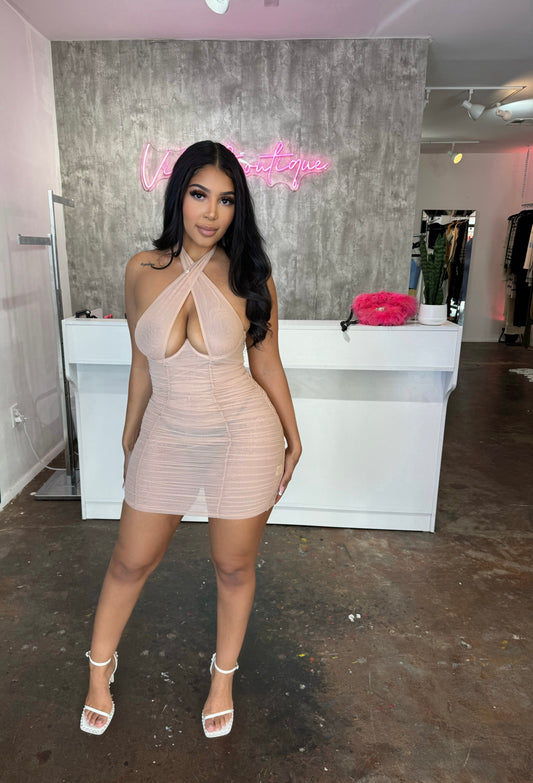 The " So Nude " Dress